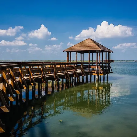 Fides * روسولينا ماري